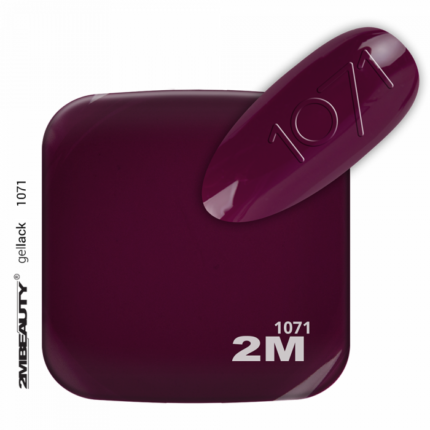 minimi-1071
