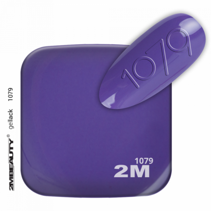 minimi-1079