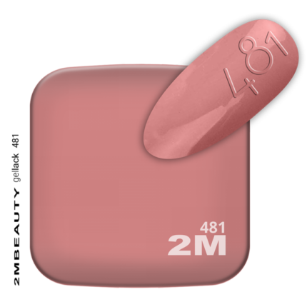 minimi-481