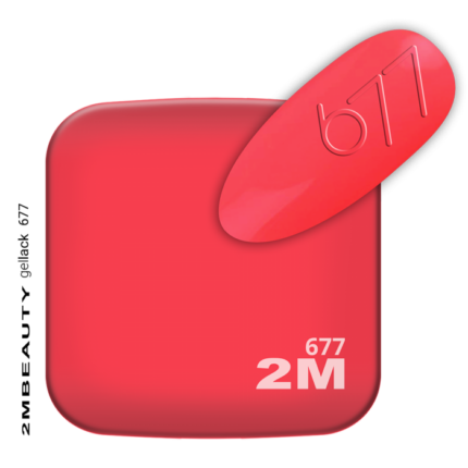 minimi-677