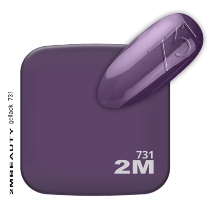 minimi-731