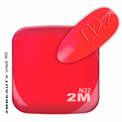 minimi-n22