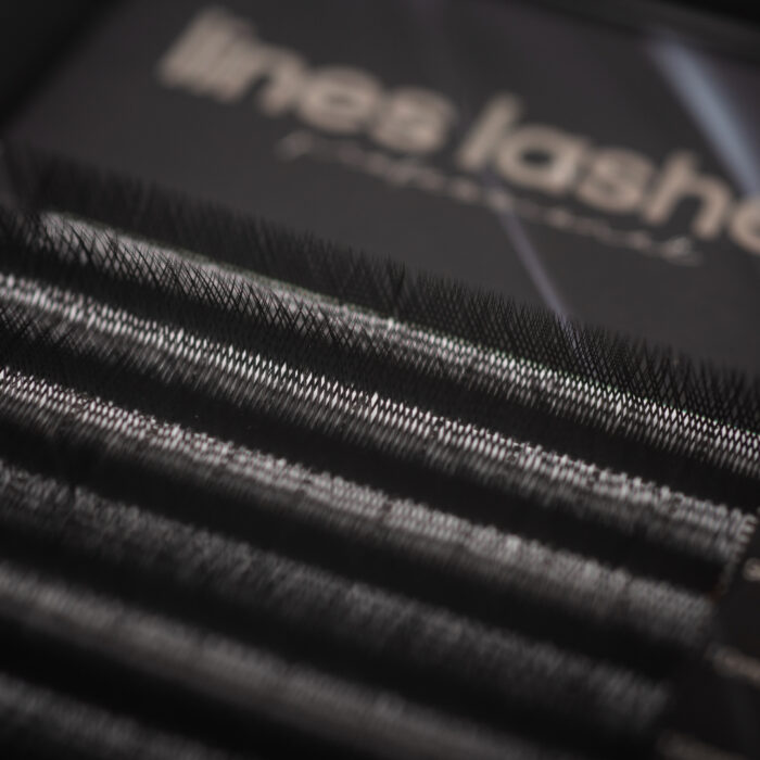 yy-lashes-lines-lashes-2