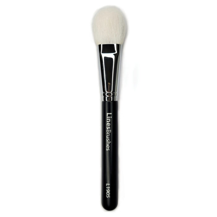 251-lines-brushes-l1905