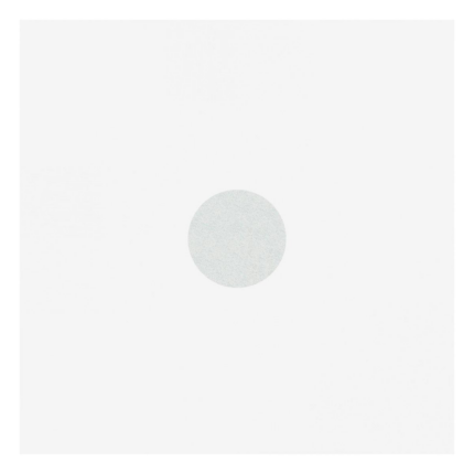expert-zamenski-nastavci-za-pedikir-disk-s-320-501-white