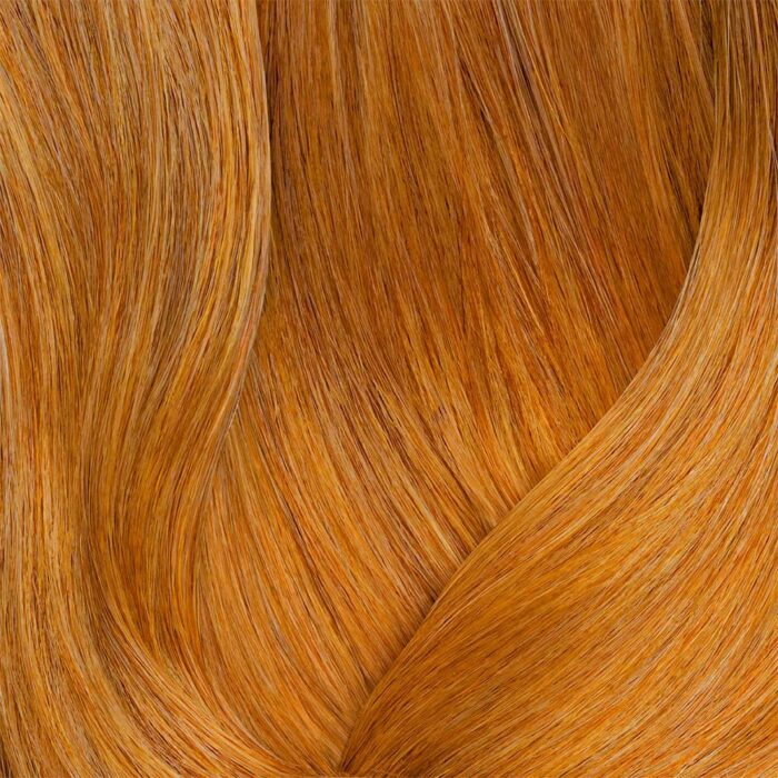 mx-scb2-508bc-90ml-62